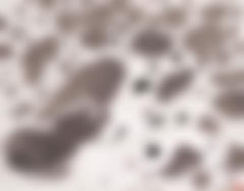 Rushing stream (preview)