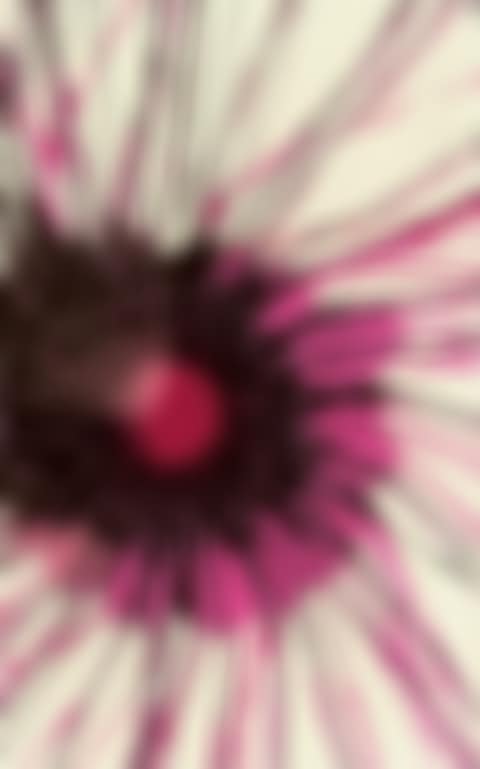 Wild child (preview)