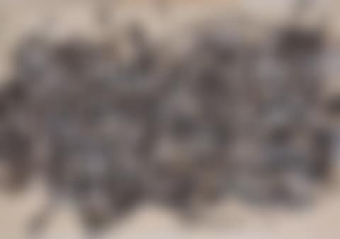 Multitud (preview)