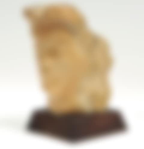 Portrait of a lady (preview)