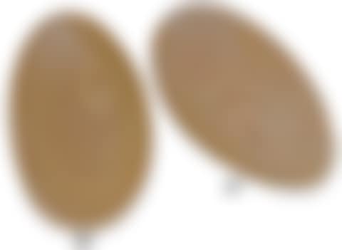 A Laminated Birch Dish (preview)
