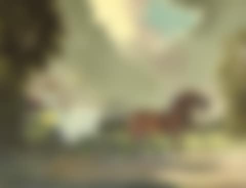 Country ride (preview)
