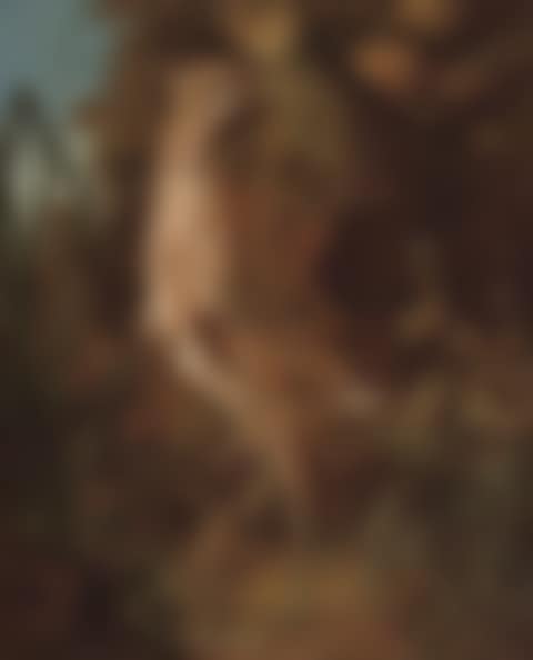 Bittern on the bank of a river (preview)