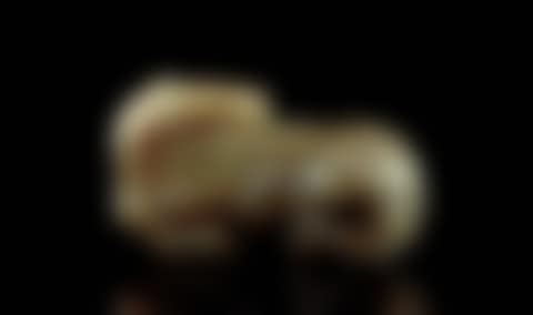 Figure of recumbent horse (preview)