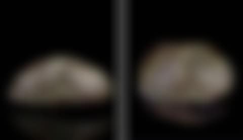 Figure of recumbent water buffalo (preview)