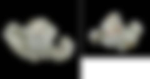 Buddhistic lion group (preview)