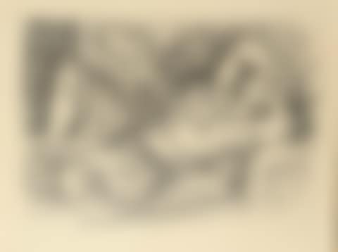 Odalisque au Magnolia  (D.-M. 432) (preview)