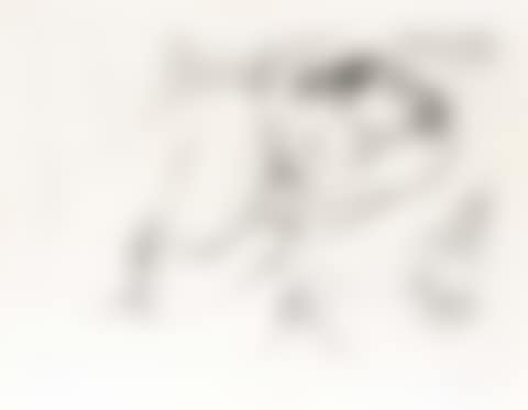 Figure endormie aux Babouches  (D.-M. 512) (preview)