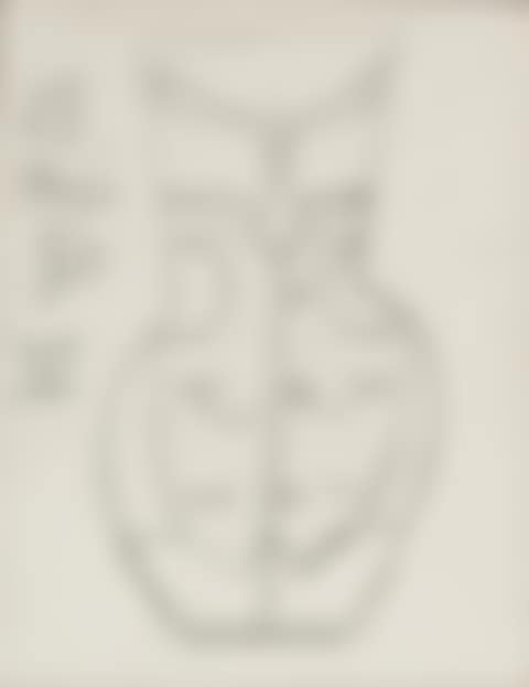 Etude pour un vase (preview)