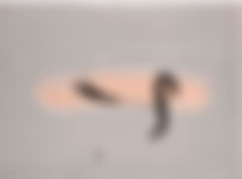 Untitled (preview)
