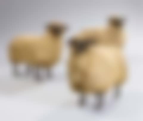 Moutons (preview)