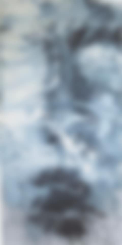 Visage (preview)