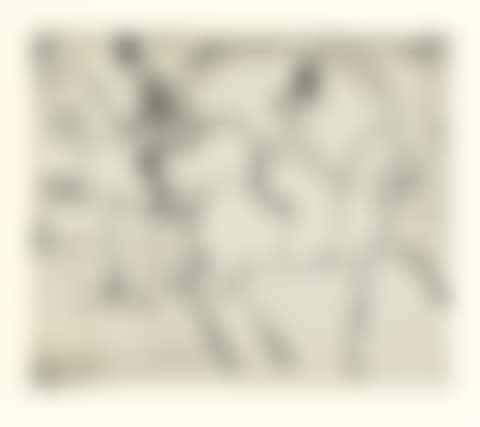 REITER (D. R.95) (preview)