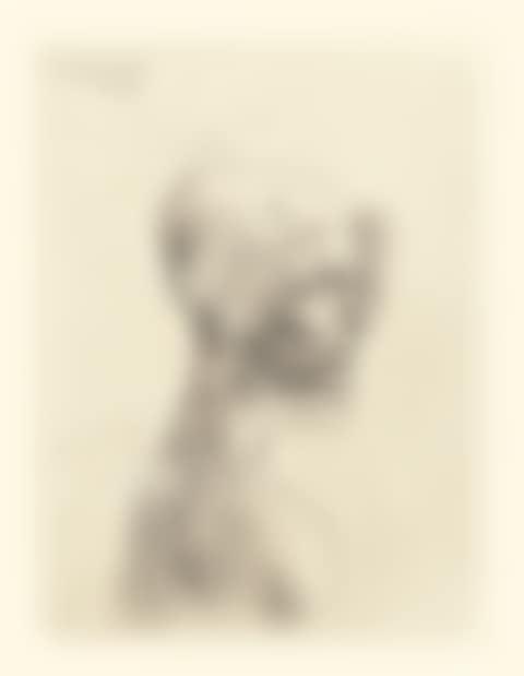 BUSTE D'HOMME (B. 4; BA. 5) (preview)