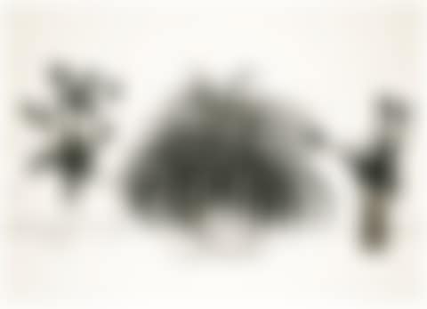 TWO VASES OF CUT FLOWERS AND A LIRIOPE PLANT (MUSEUM CONTEMPORARY ART TOKYO 232) (preview)