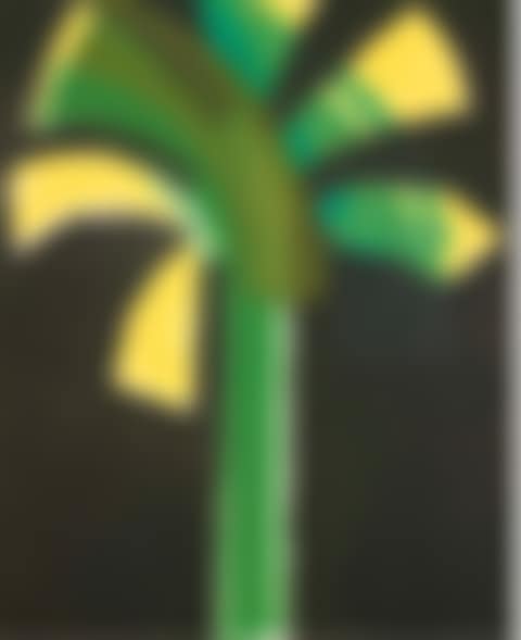 Night palm (preview)
