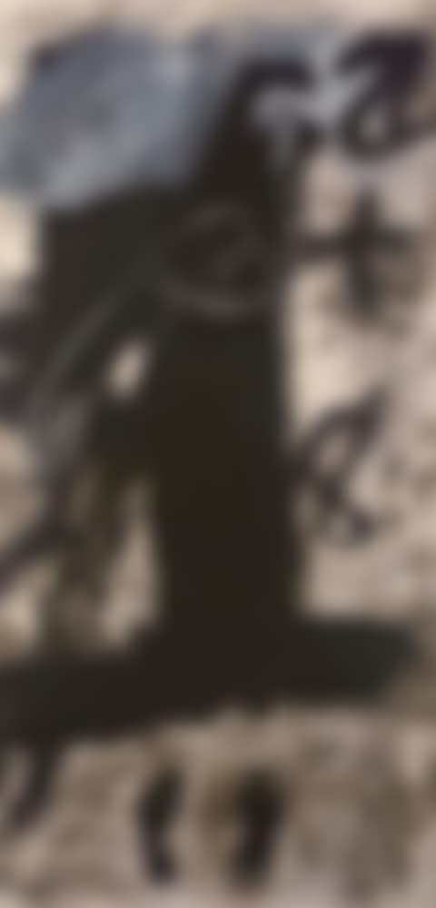Totem (preview)