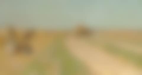 Haymaking (preview)