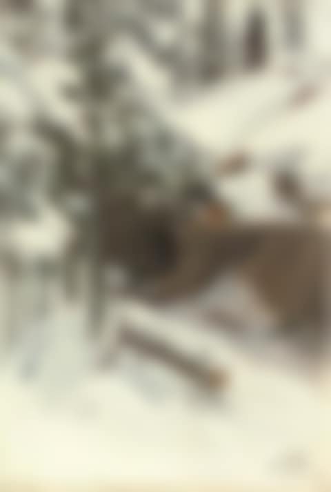 Gopsmor cottage in the snow (preview)