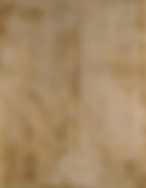 Impresiones en ocre - Ochre patterns (preview)