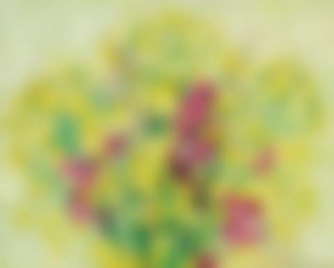 Bouquet jaune aux pois de senteur (preview)