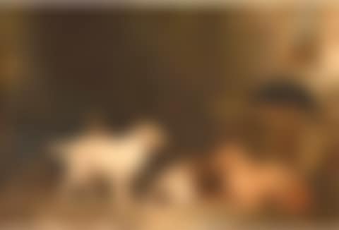 In the dog pen (preview)