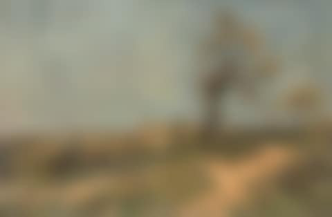 In the dunes (preview)