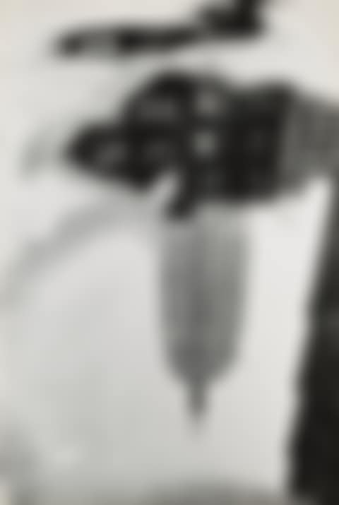 NEW YORK (EMPIRE STATE BUILDING IN PUDDLE) (preview)