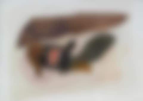 Tamaro, 25 Marz 61 (preview)