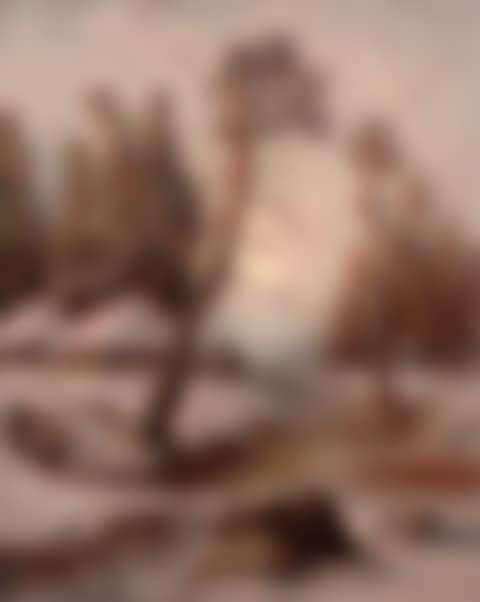 Winter landscape with lake (preview)