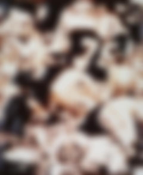 TACKLE' (FROM THE SERIES PICTURES OF CHOCOLATE) (preview)