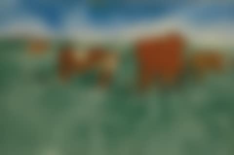 KÜHE AUF DER WEIDE (COWS AT PASTURE) (preview)