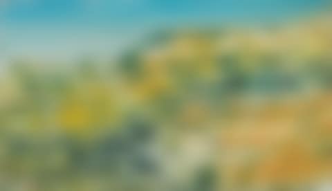 ARIZONA (preview)