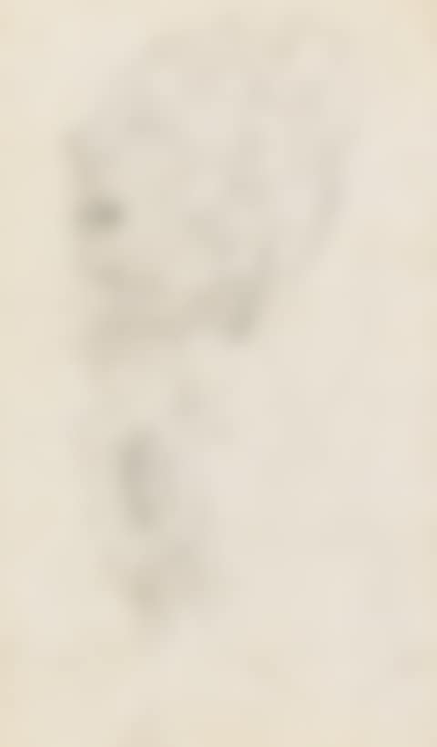 LE CRI (preview)