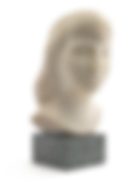Head of a Woman (preview)