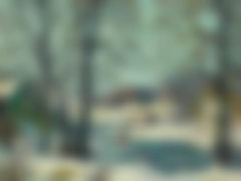 Winter, Woodstock (preview)