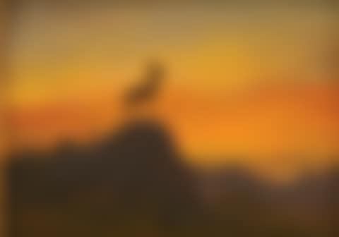 Rocky mountain Sheep (preview)