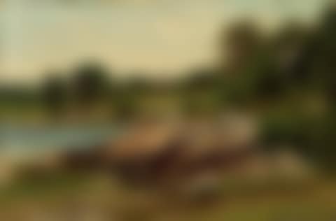 Summer lake shore (preview)