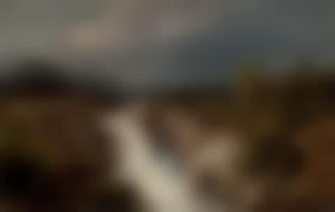 Elk by a cascading river (preview)
