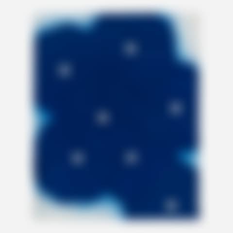 Seven Blue Flowers (preview)