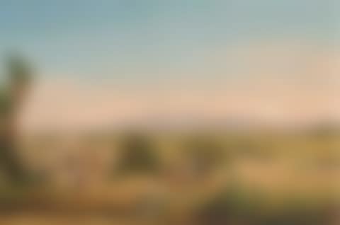 Valley of Mexico from the Hacienda Morales (preview)