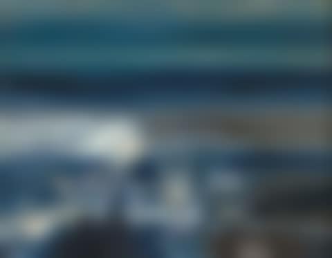 Shark (preview)