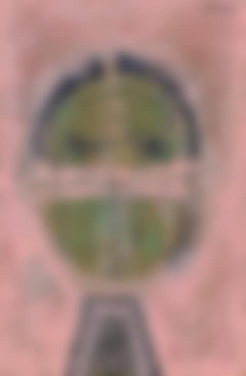 Green face (preview)