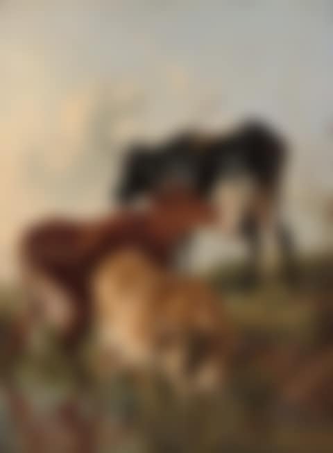 Cattle by a pond (preview)