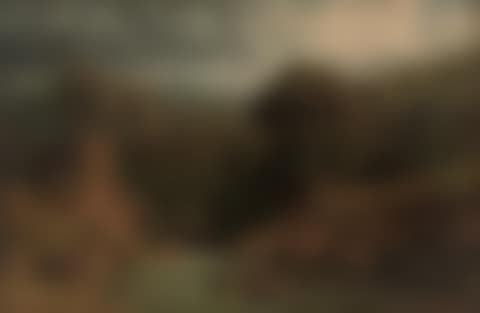 A wooded river landscape with a deer beyond (preview)