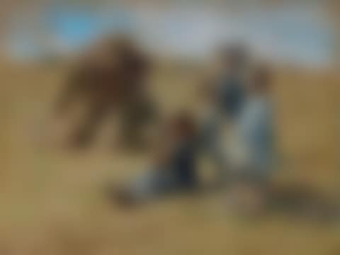 Children in a field (preview)
