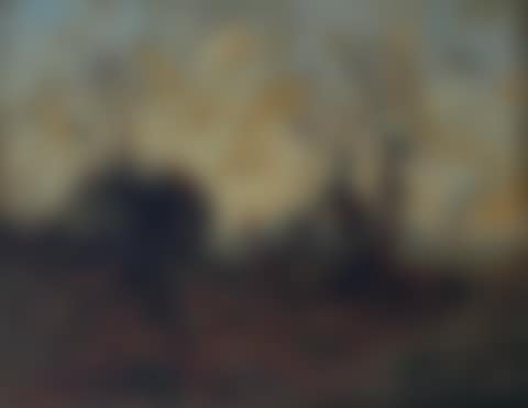 Wooded landscape (preview)
