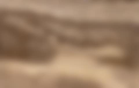 Paysage (preview)