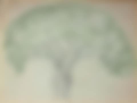 Study for Tree of Nice (preview)