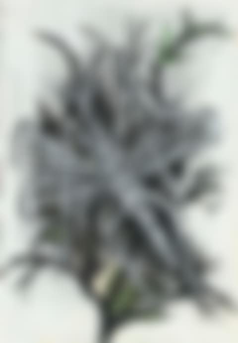 Insect (preview)